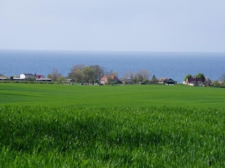Blick auf die Ostsee