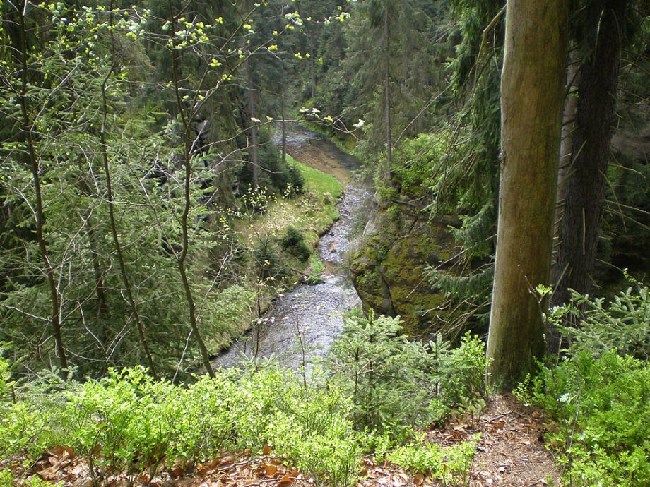 wandern im kirnitzschtal