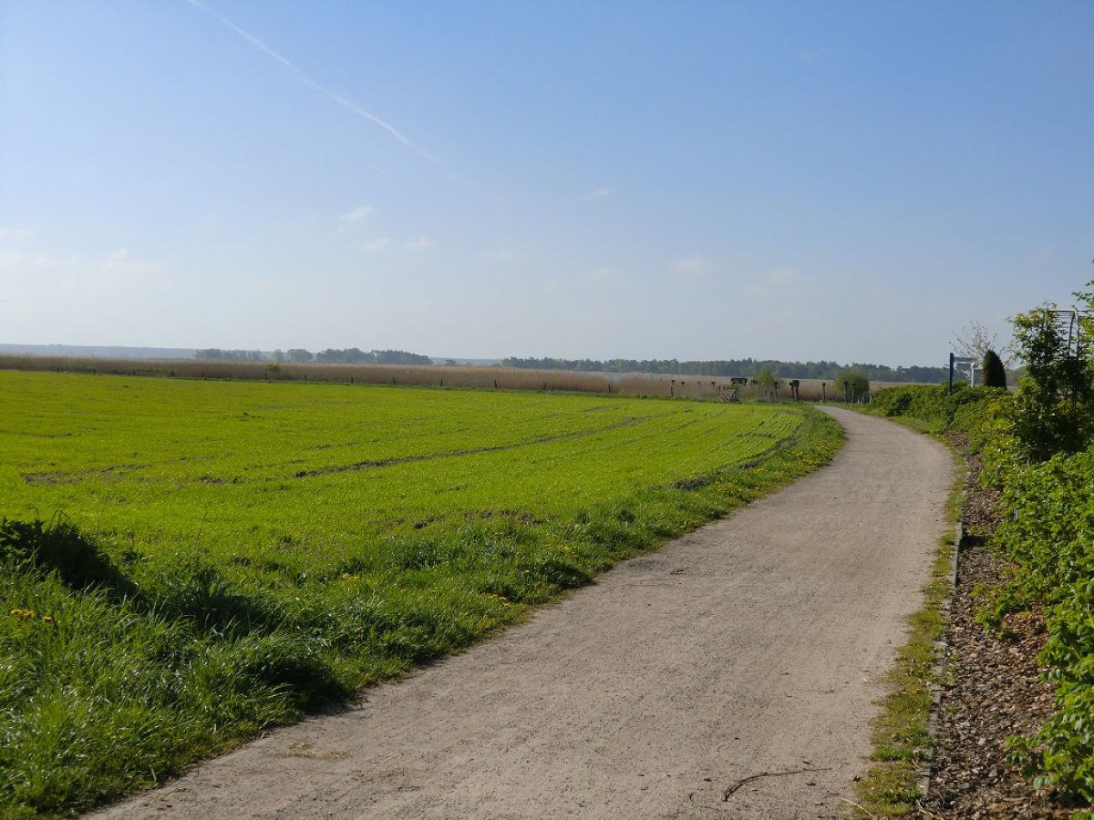 Weg zum Bodden