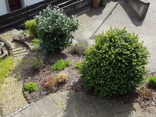 Garden and parking spot