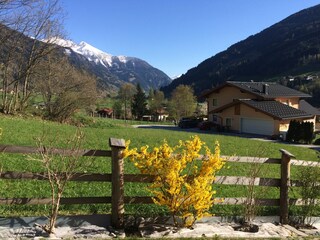 Appartamento per vacanze Dorfgastein Registrazione all'aperto 5