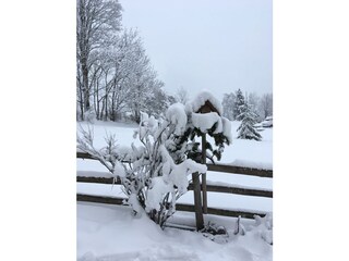 Appartamento per vacanze Dorfgastein Registrazione all'aperto 10