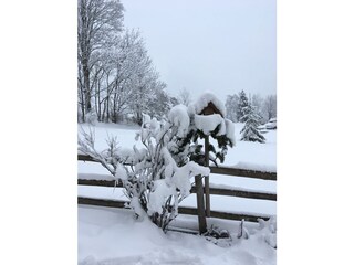 Winter 2018 in front of the house