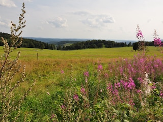 Appartamento per vacanze Steinbach-Hallenberg Ambiente 11