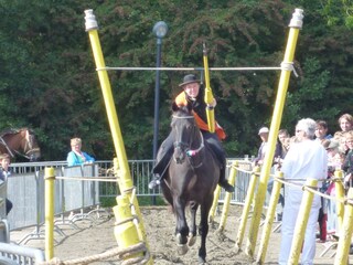 Vakantiehuis Domburg Omgeving 15