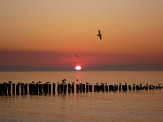 Vakantiehuis Domburg Omgeving 18
