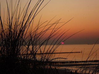 Strand Domburg