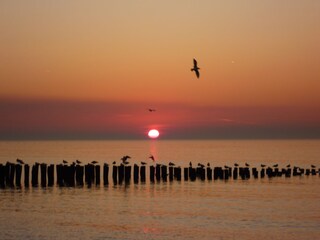 Strand Domburg