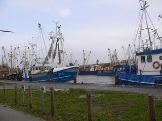 Büsum, Fischereihafen