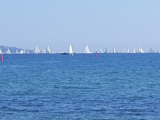 Regatta "Voiles des St. Tropez"