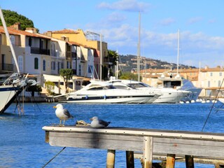 View from Quai