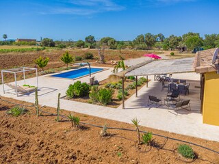 Finca Felanitx  18