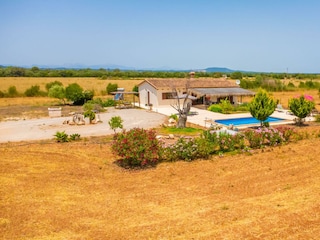 Finca Felanitx  43
