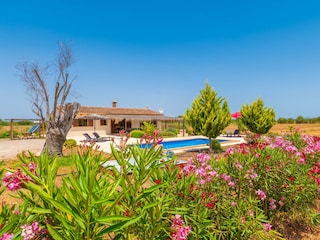 Finca Felanitx  46