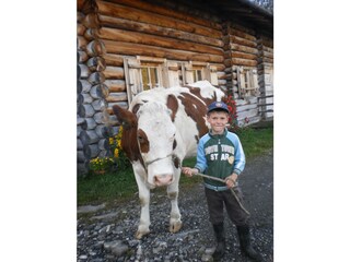 our animals