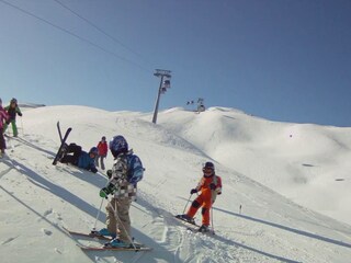 Rauris