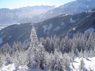 Winter landcape