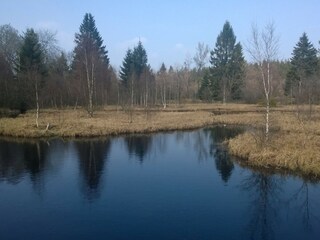 Holiday apartment Monschau Environment 24