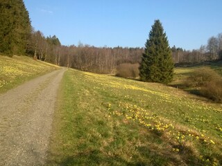 Holiday apartment Monschau Environment 27