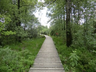 Holiday apartment Monschau Environment 21