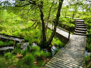 Holiday apartment Monschau Environment 22