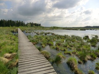 Holiday apartment Monschau Environment 21