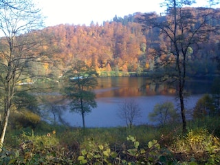 Herbststimmung am Gemündener Maar