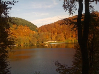 Herbststimmung Freibad Gemündener Maar