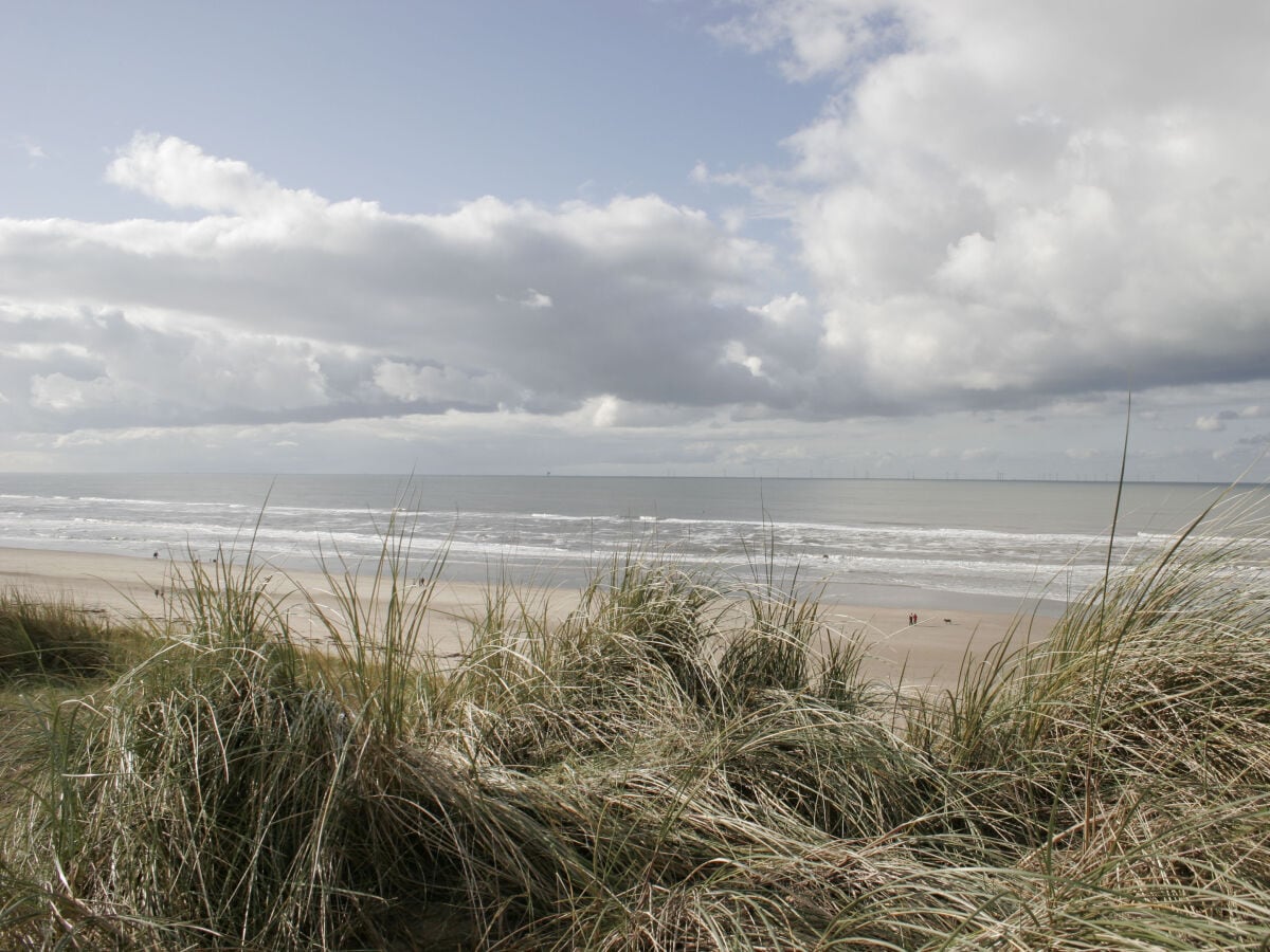 Ferienwohnung Egmond aan Zee  45