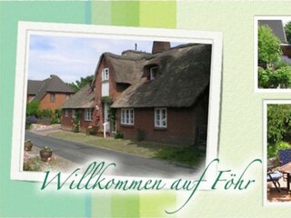Ferienhaus Wyk auf Föhr Ausstattung 12