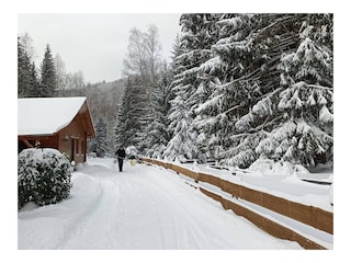 Ferienhaus Lautenthal Umgebung 7
