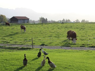 Ferienwohnung Reichersbeuern Umgebung 19