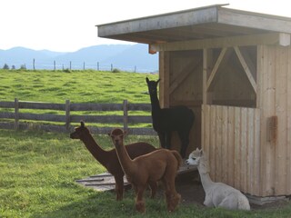 Apartamento de vacaciones Reichersbeuern Entorno 21