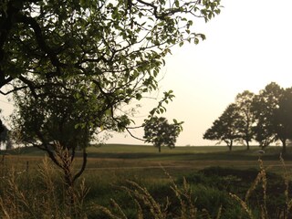 Appartement de vacances Reichersbeuern Environnement 22