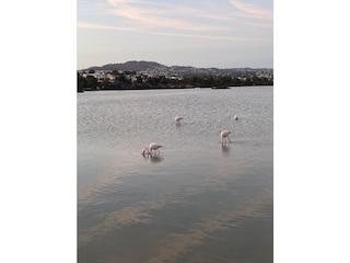 Salzsee in Calpe