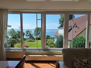 Blick in den Garten