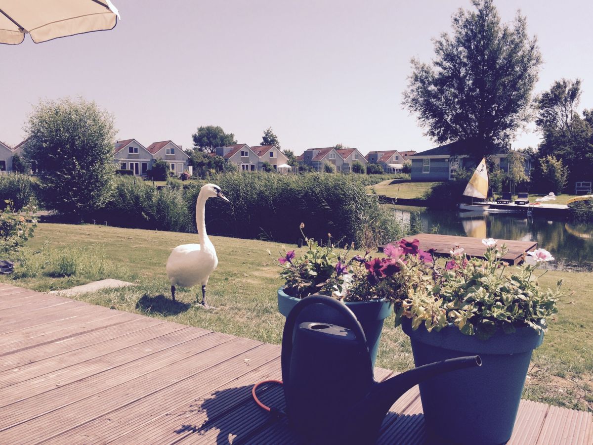 zutrauliche G?ste Terrasse mit Blick auf das Wasser Steg mit Kanu zur Badkamer Douche En Bad ~ zutrauliche G?ste Terrasse mit Blick auf das Wasser Steg mit Kanu zur