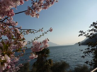 Appartamento per vacanze Cannobio Ambiente 22