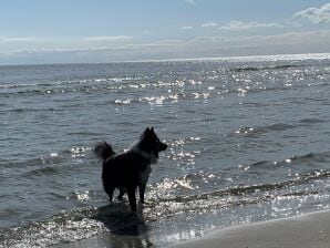 Holiday apartment Rudi