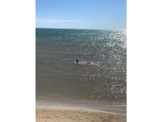 Casa per le vacanze Gruissan  33