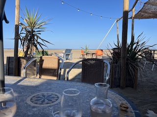 Beach Club - Mosquito