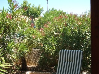 Casa per le vacanze Gruissan Ambiente 6