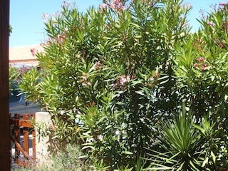 Casa per le vacanze Gruissan Ambiente 7