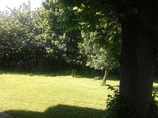 Blick auf Kirschbaum und Schaukel