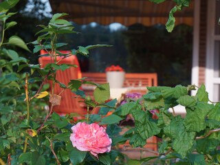 veerwunschene Terrasse