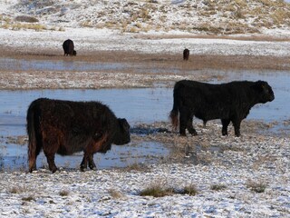 Villa Sint Maartenszee Omgeving 14