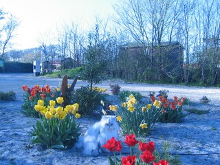 Villa Sint Maartenszee Ambiente 39