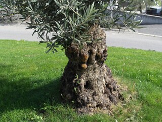 Appartamento per vacanze Algund Registrazione all'aperto 7