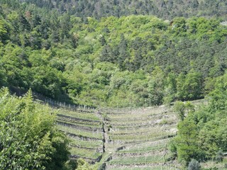 Appartamento per vacanze Algund Ambiente 20