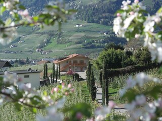 Appartamento per vacanze Algund Registrazione all'aperto 2